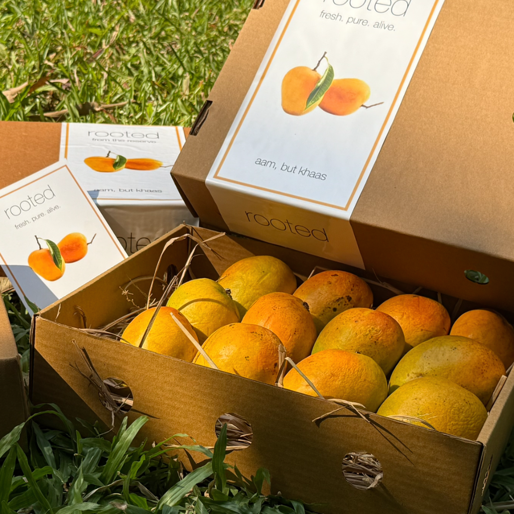 Everyday Alphonso-Box of 12 - 180 - 220 g (per piece)