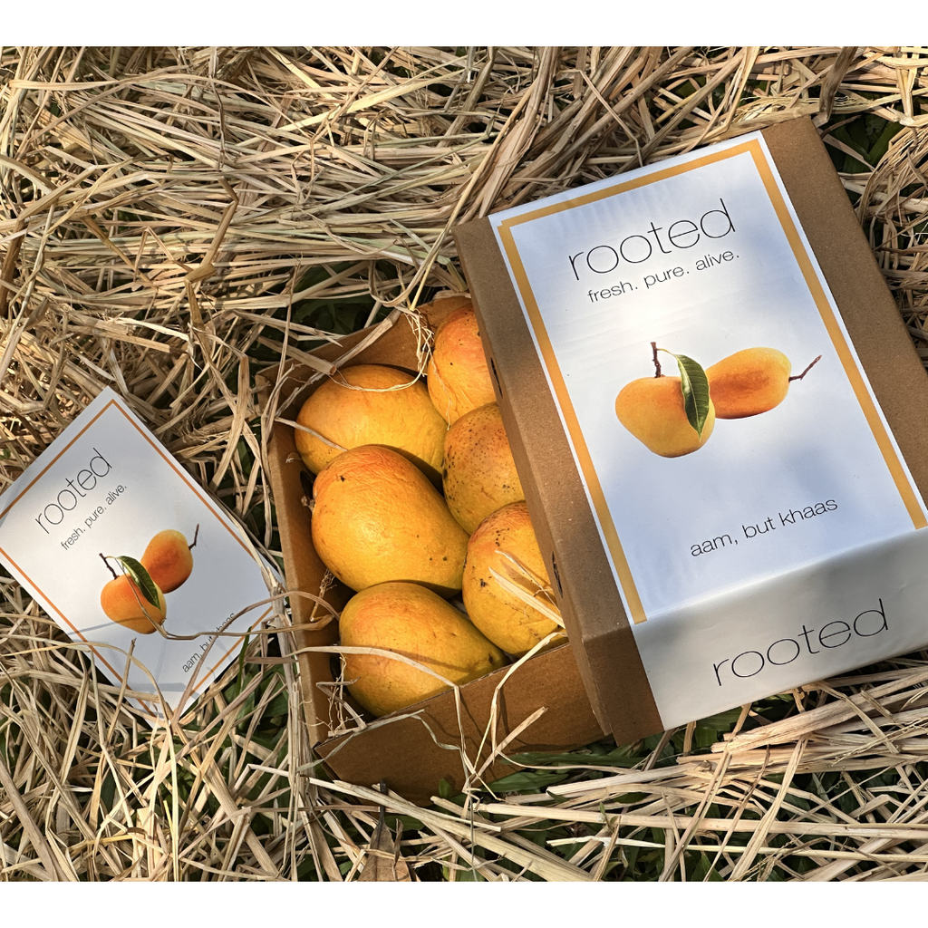 Celebration Alphonso-Box of 6 - 220 - 280 g (per piece)