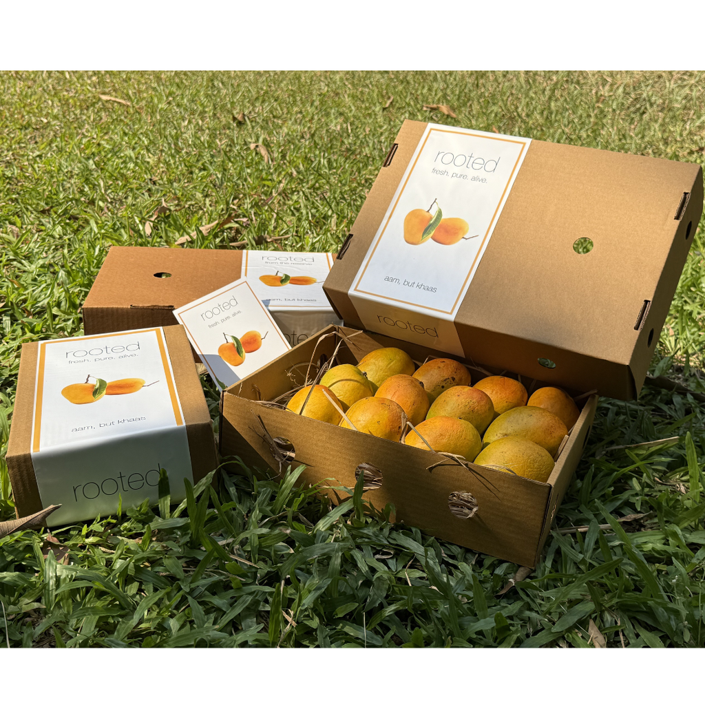 Everyday Alphonso-Box of 12 - 180 - 220 g (per piece)